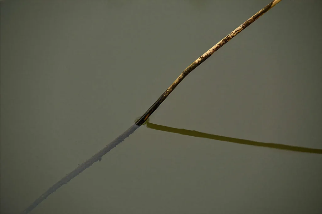 Hetty-Ledenbijeenkomst-januari-2026