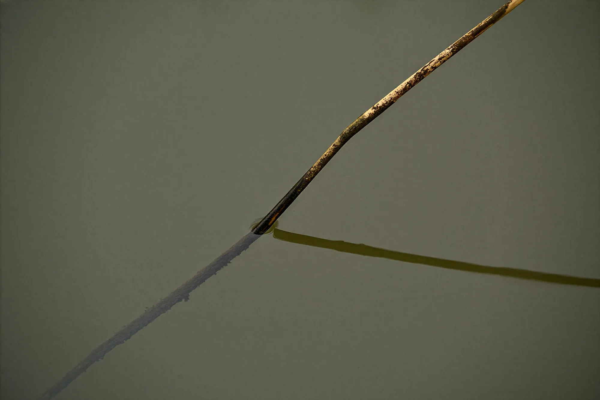 Hetty-Ledenbijeenkomst-januari-2026