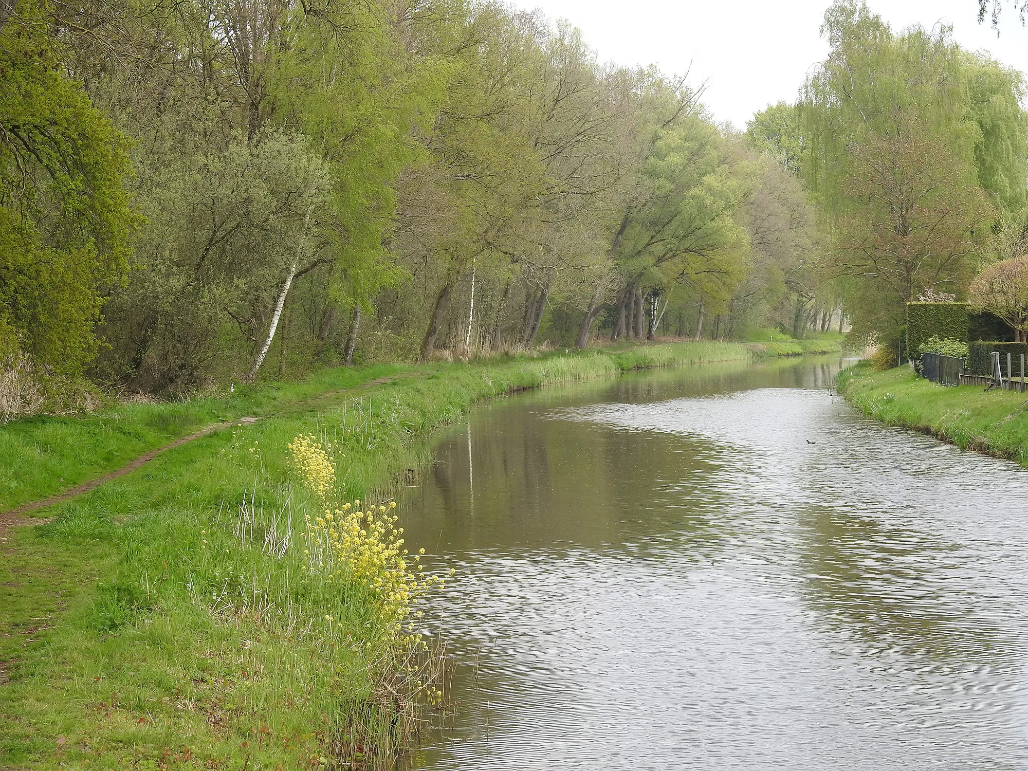 Janny-Ledenbijeenkomst-januari-2026