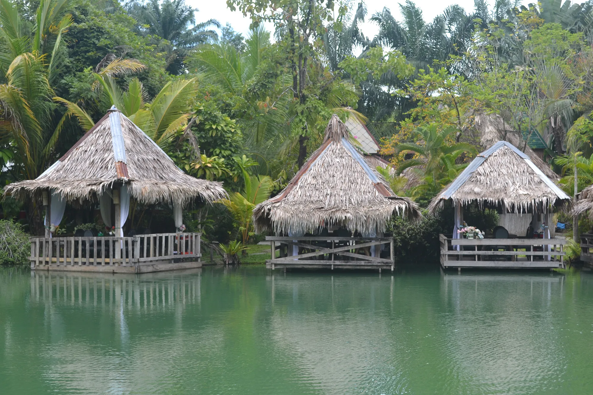 Marjo-Ledenbijeenkomst-januari-2026