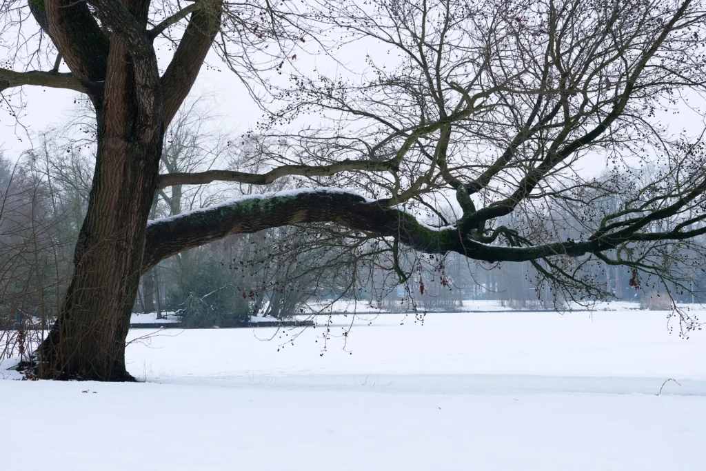 Mirjam-Ledenbijeenkomst-januari-2026JPG