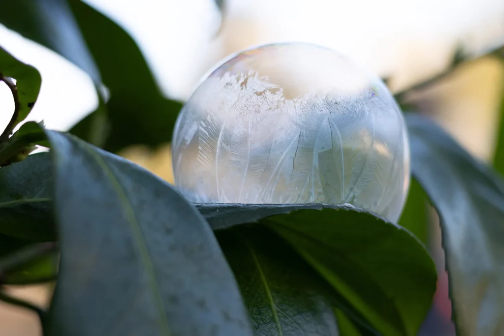 Rachel-Fotogroep-Esch-Ledenbijeenkomst-januari-2026