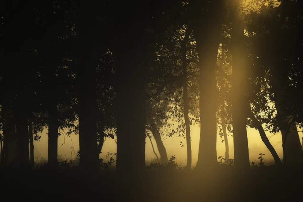 Fotogroep Esch - Silhouet