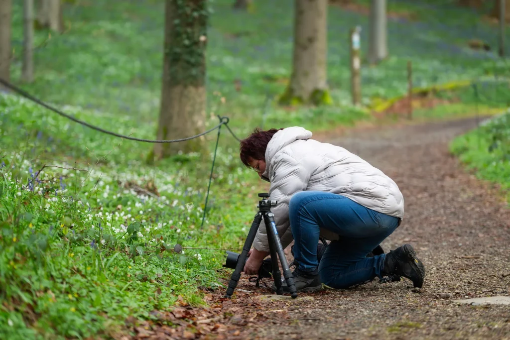 Fotogroep Esch - Hallerbos April 2026