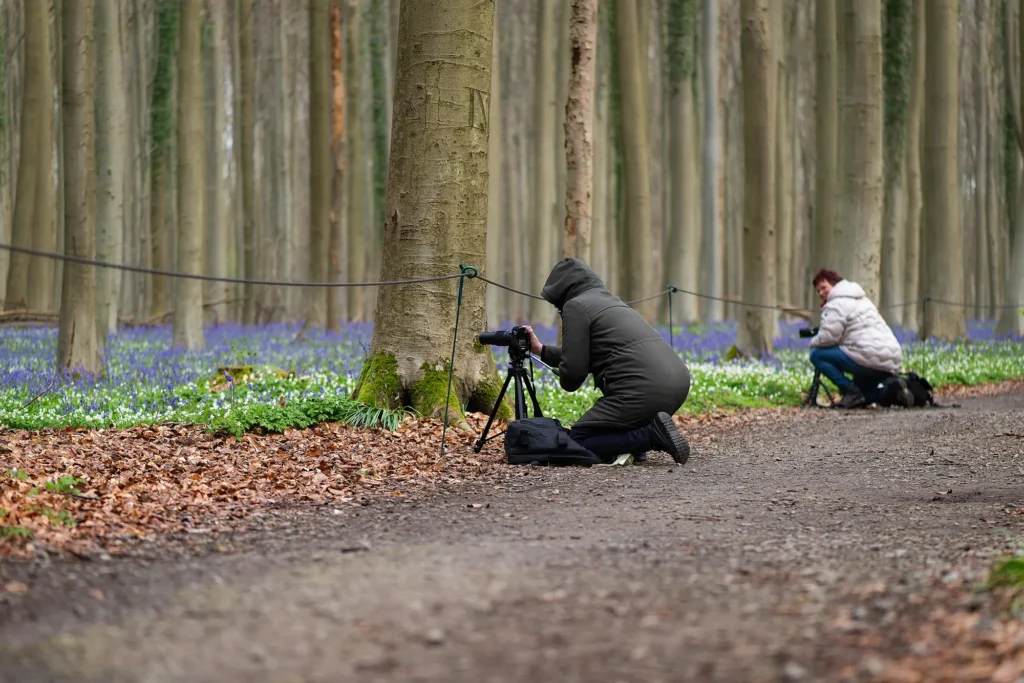 Fotogroep Esch - Hallerbos April 2026