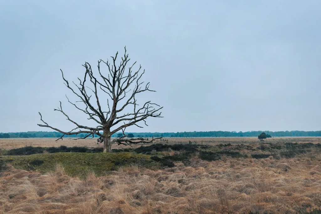 Fotogroep Esch - Leonie Engels - De glimlach van Brabant