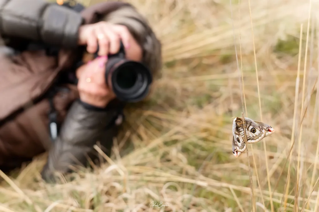 Fotogroep Esch - Ruud Engels - De glimlach van Brabant