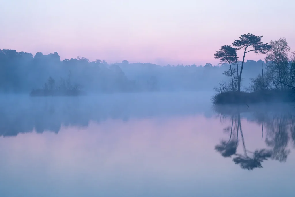 Fotogroep Esch - Ruud Engels - Photography - De glimlach van brabant
