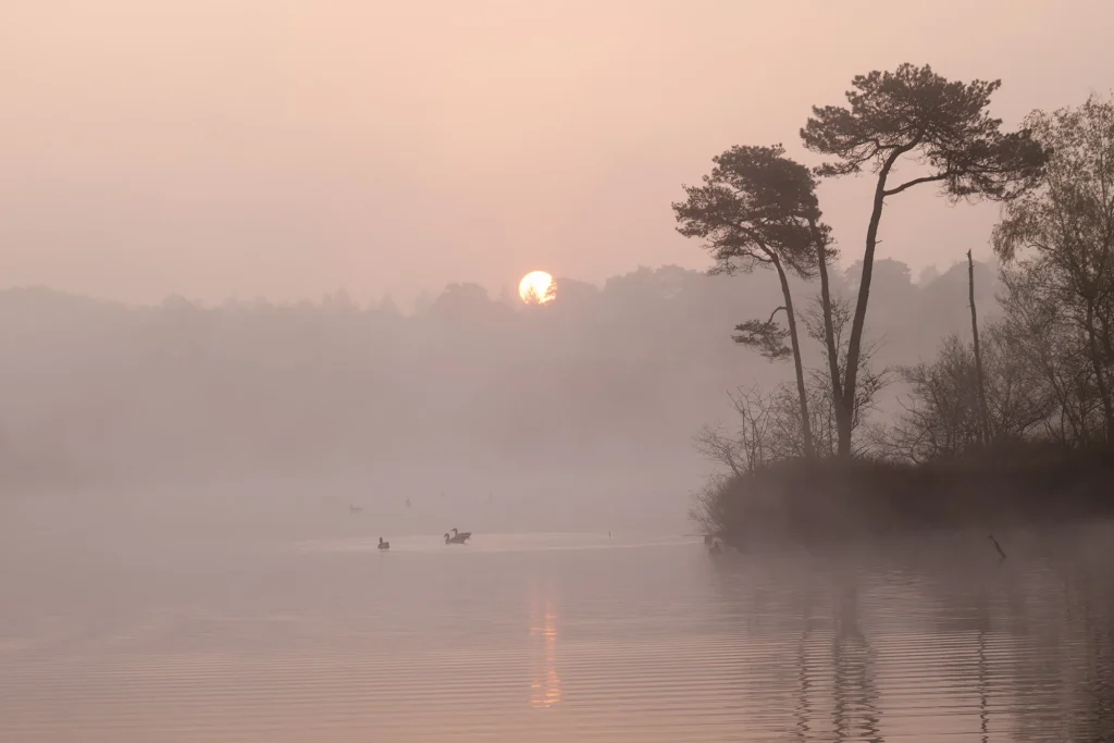 Fotogroep Esch - De Glimlach van Brabant - Erna Rijkers - Oisterwijkse bossen en vennen zonsopkomst