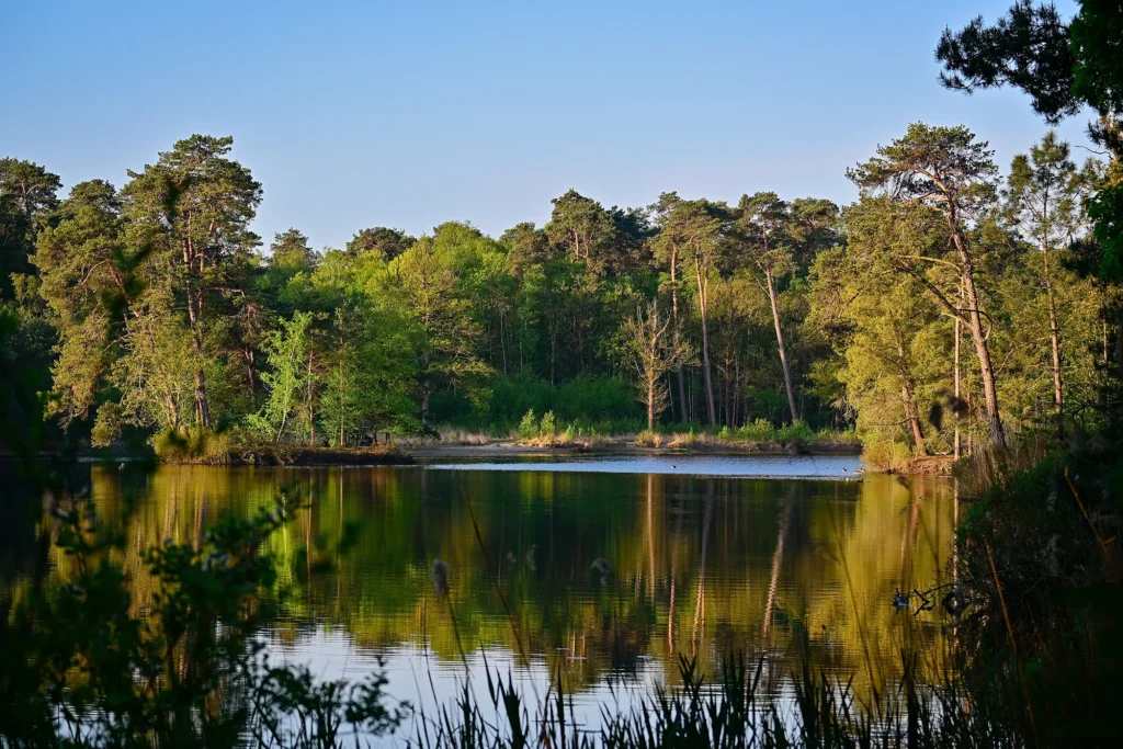 Fotogroep Esch - De Glimlach van Brabant - Marjo van Dijk - van Esscheven