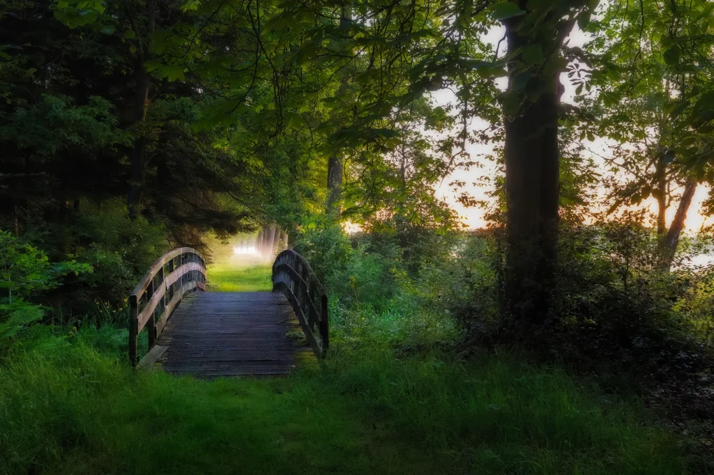 Fotogroep Esch - Leonie - Beukenhorst brugje
