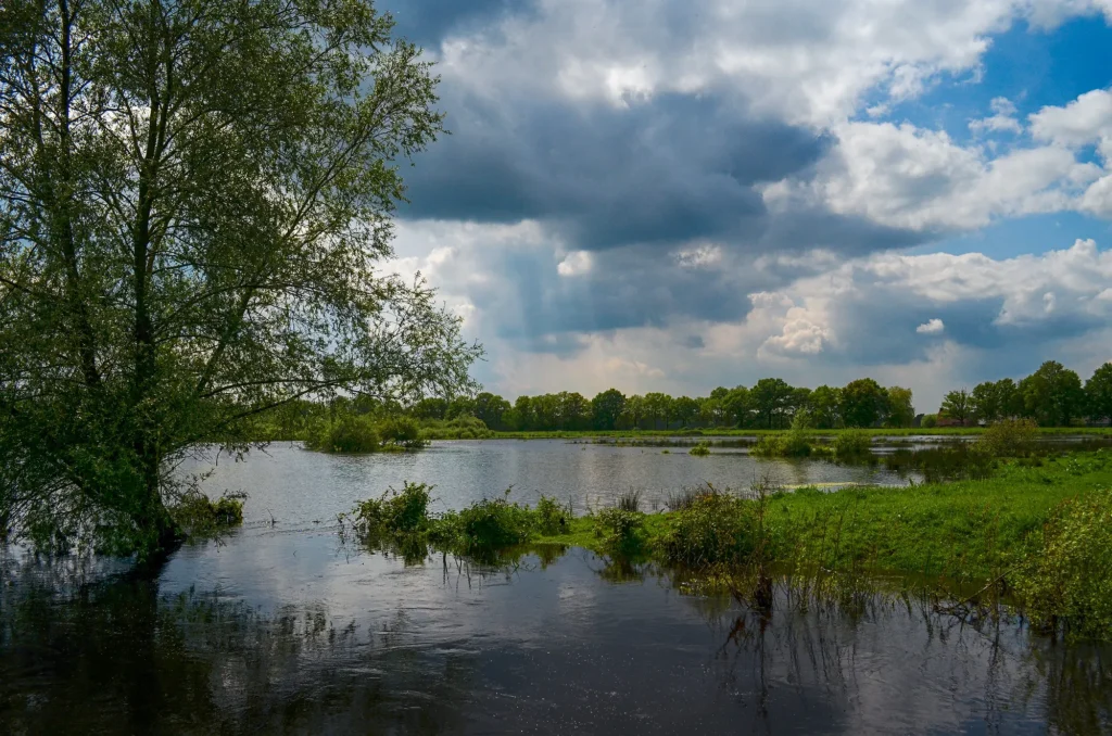 Fotogroep Esch - De Glimlach van Brabant - Nettie - De Beerze