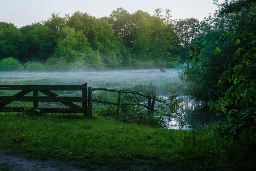 Fotogroep Esch - De Glimlach van Brabant - Janny Vingerhoets - Hek met mist