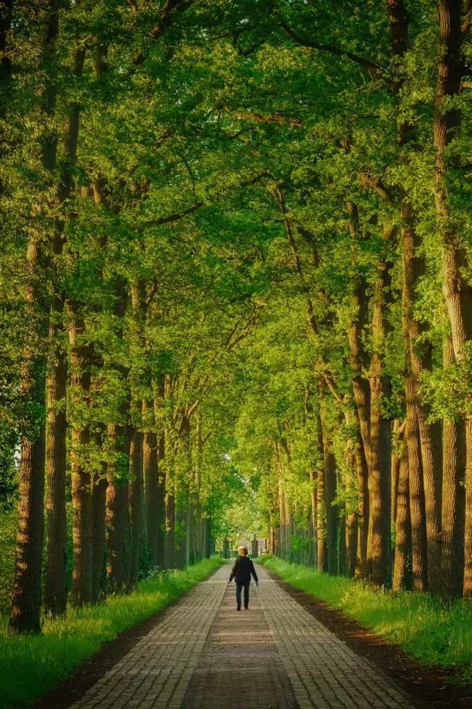 Fotogroep Esch - De Glimlach van Brabant - Janny Vingerhoets - Kasteel Nemelaer