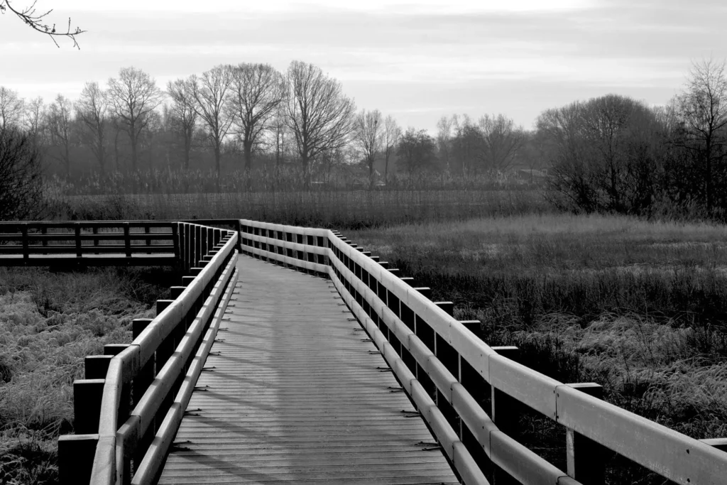 Fotogroep Esch - Marjo - Portfolio Marjo - HBC Loopbrug
