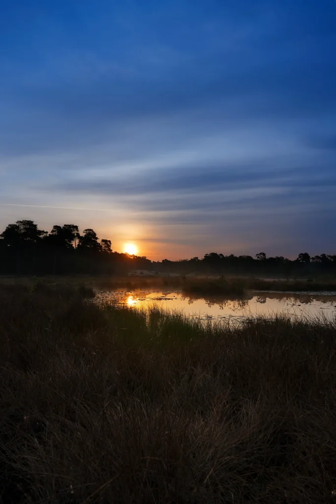 Fotogroep Esch - De Glimlach van Brabant - Hetty de Laat - Kampina Zonsopkomst
