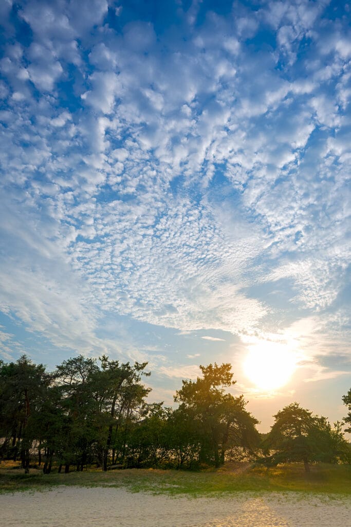 Fotogroep Esch - De Glimlach van Brabant - Hetty de Laat - Loonse en Drunense Duinen Zonsondergang