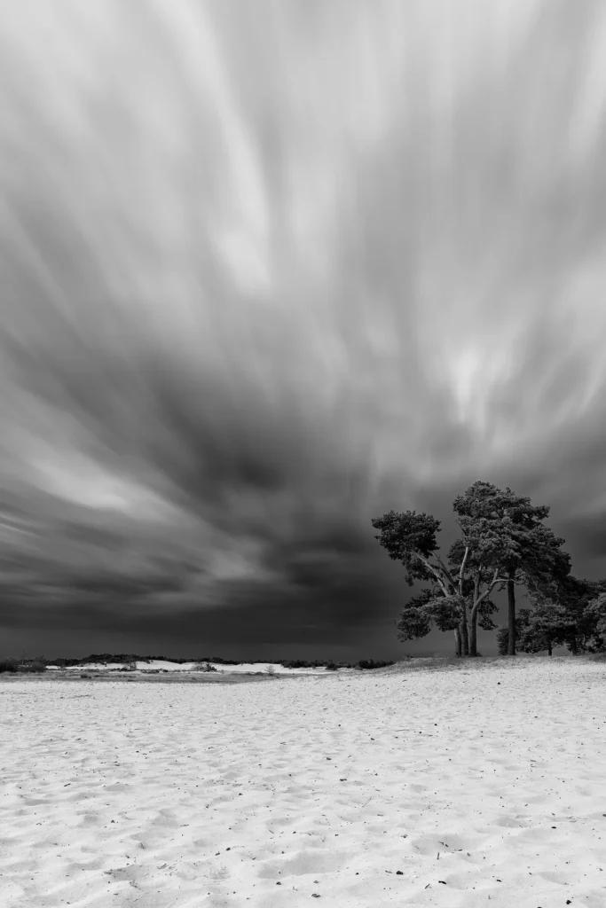 Fotogroep Esch - De Glimlach van Brabant - Ilona van den Broek - Loonse en Drunense Duinen