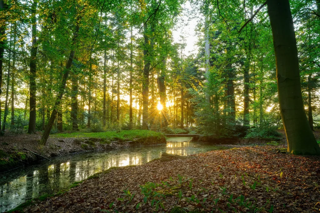 Fotogroep Esch - De Glimlach van Brabant - Leonie Engels - van der Aa - Beukenhorst