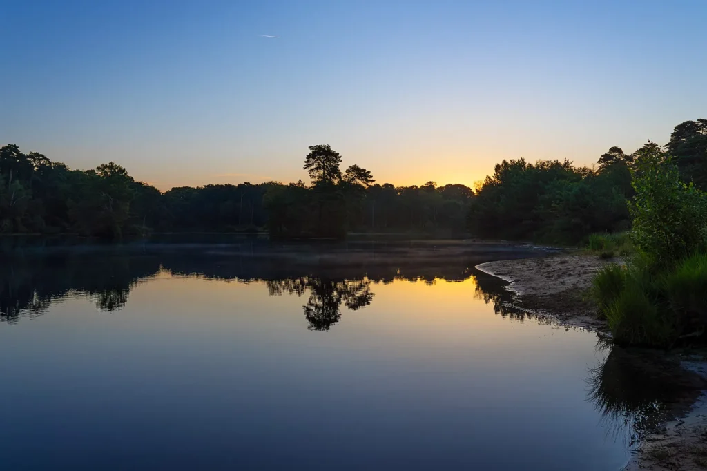Fotogroep Esch - De Glimlach van Brabant - Rachèl Verhees - Oisterwijkse bossen en vennen
