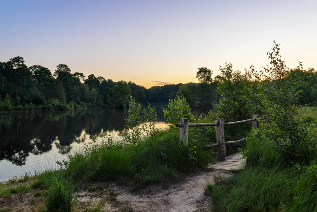 Fotogroep Esch - De Glimlach van Brabant - Rachèl Verhees - Oisterwijkse bossen en vennen